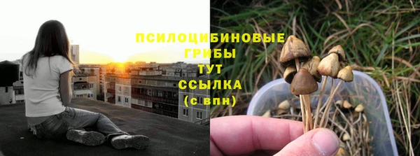 mdpv Осташков
