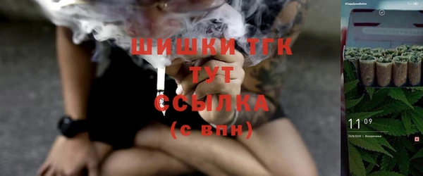 spice Пересвет