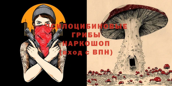 ECSTASY Переславль-Залесский