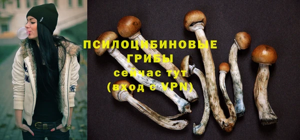 ECSTASY Переславль-Залесский