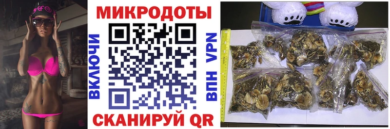 MEGA ТОР  Торопец  Псилоцибиновые грибы GOLDEN TEACHER 